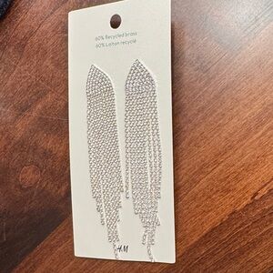 H&M Shimmering Silver Tassel Earrings